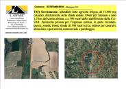 Bel terreno agricolo su strada statale